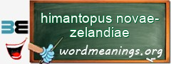 WordMeaning blackboard for himantopus novae-zelandiae